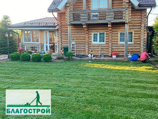 Участок после укладки газона